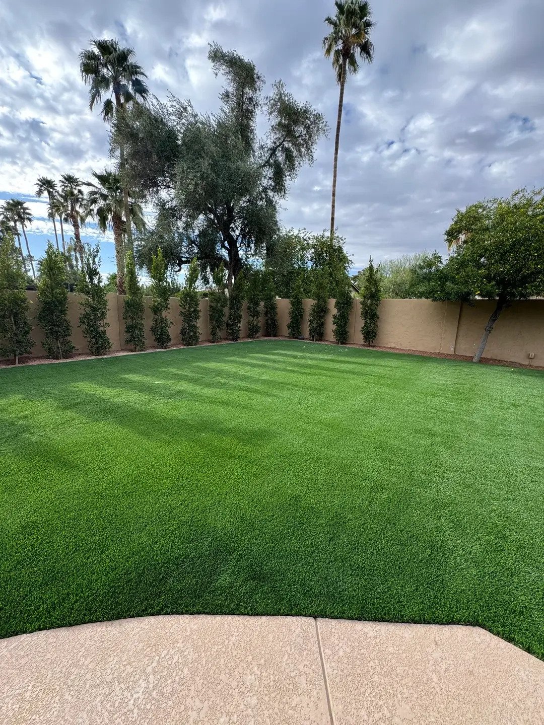 Xeriscaping & Desert Design project, BC Landscaping & Hardscape