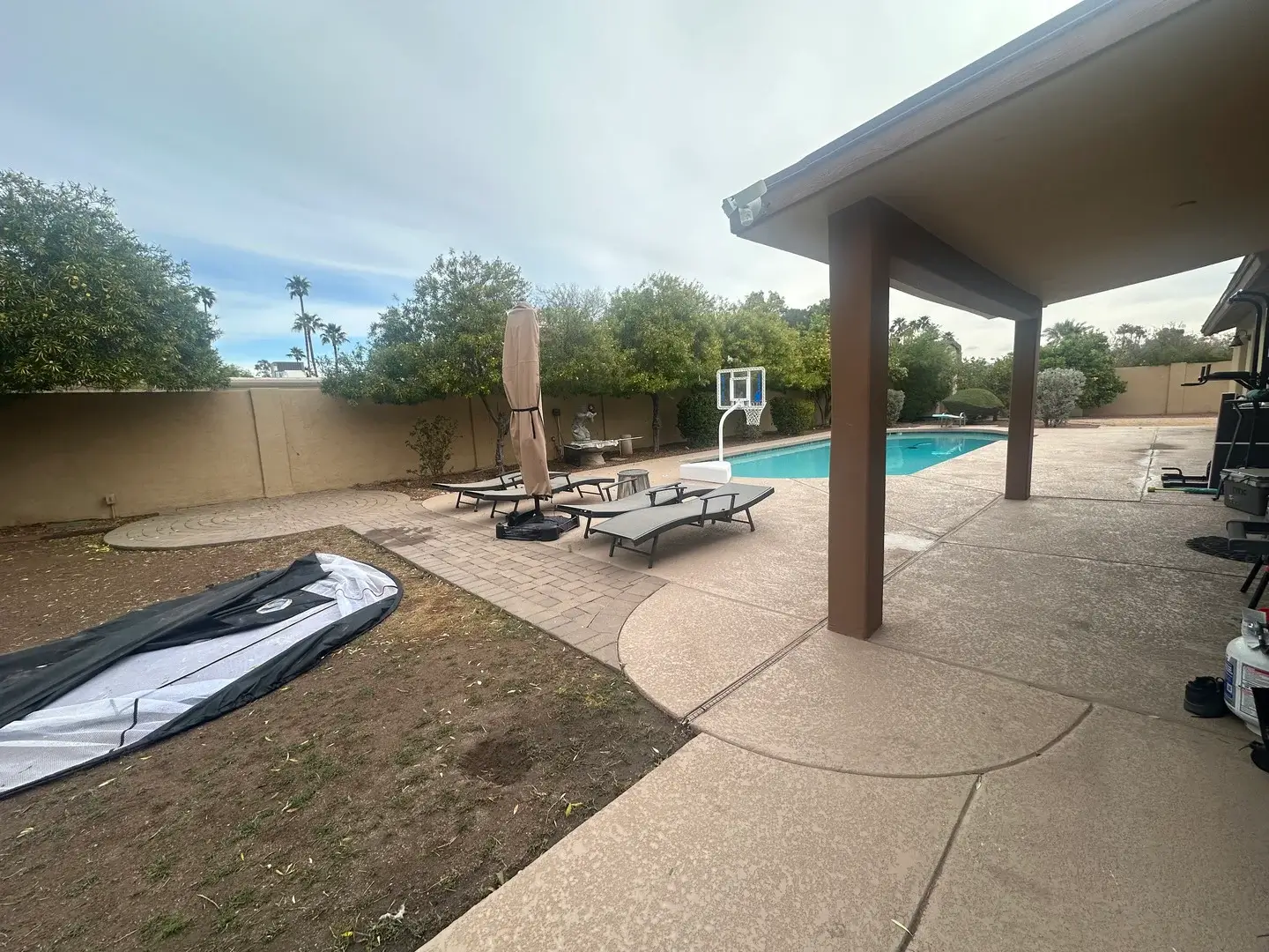 Tree Services, BC Landscaping & Hardscape