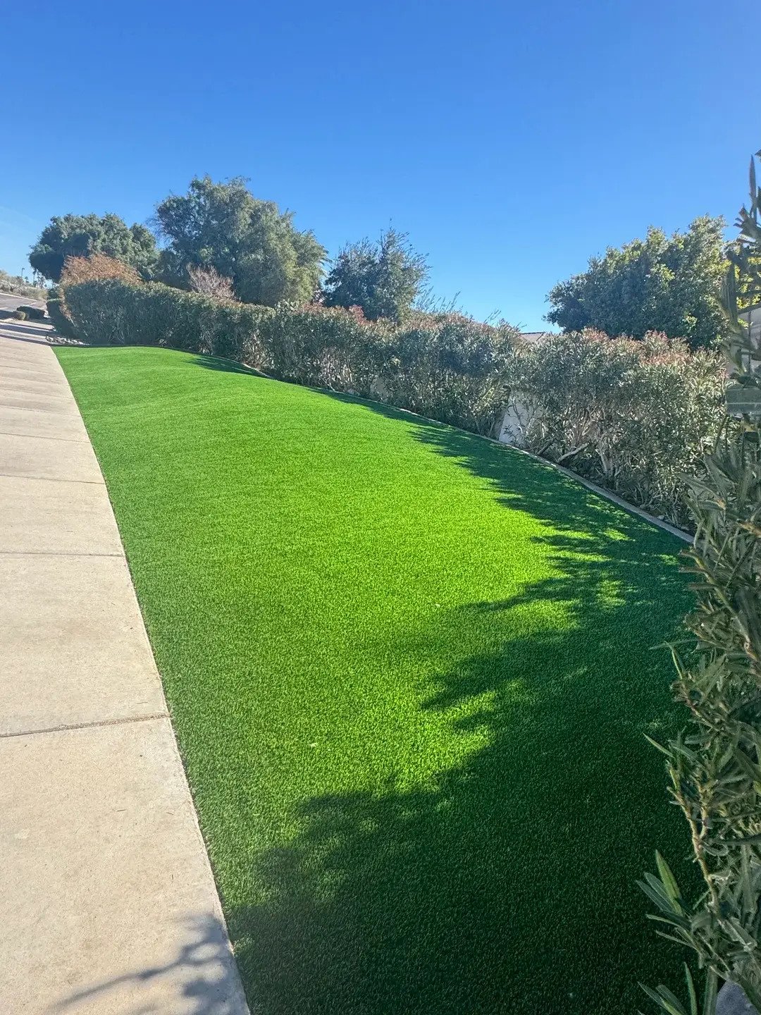 Grass & Turf Installation project, BC Landscaping & Hardscape