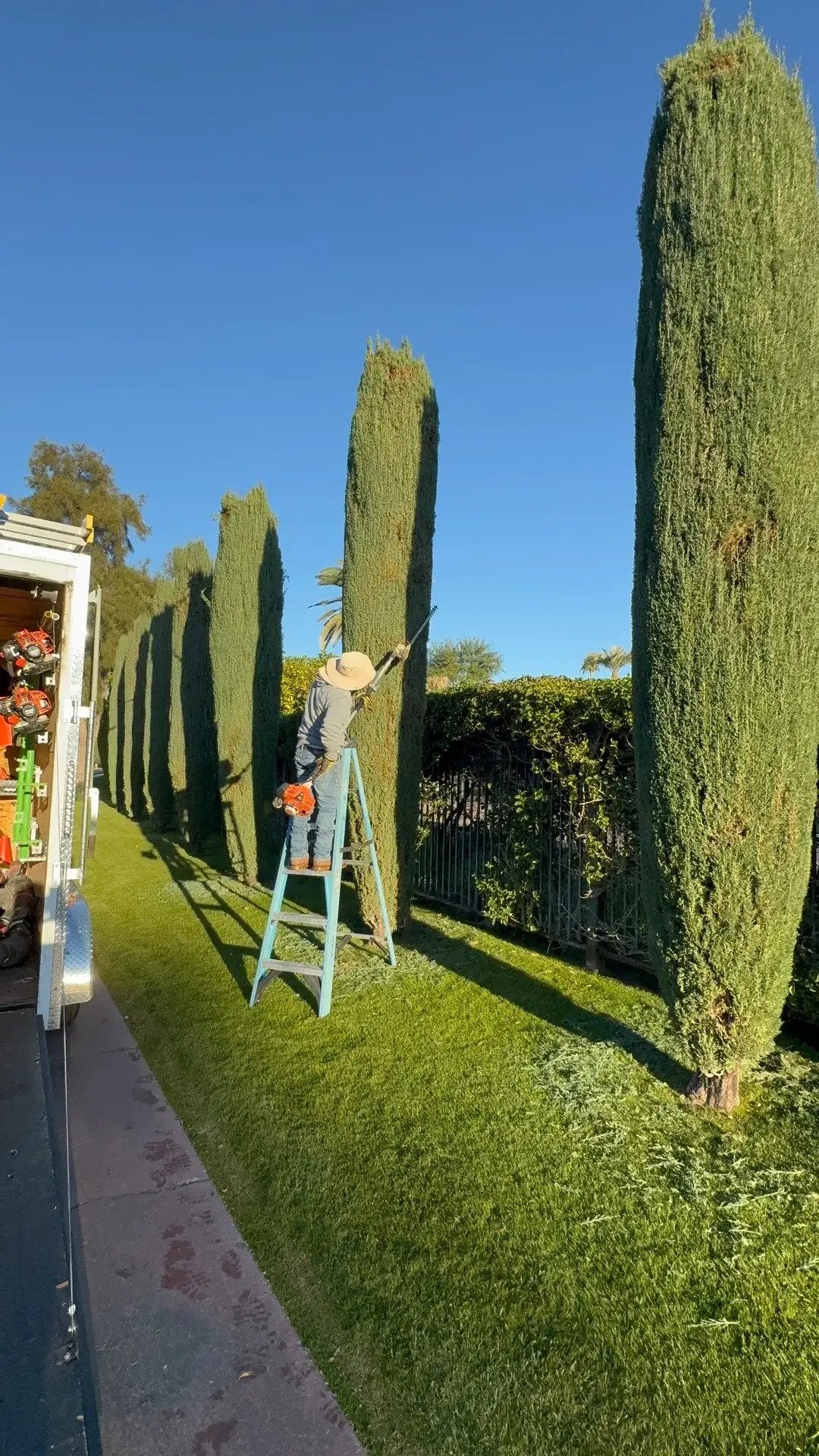 Lawn & Garden Maintenance project, BC Landscaping & Hardscape